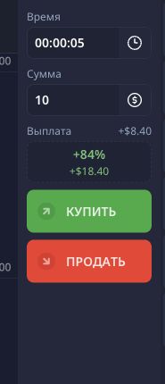 Реальная обезличенная панель времени, суммы, расчётной выплаты и двух направлений
